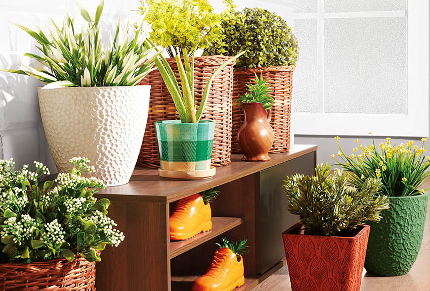 Beautify your home with unique gardening ideas, Nilkamal At-home @home