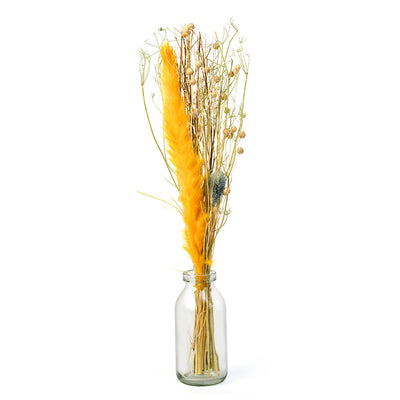 Arias by Lara Dutta Decorative Glass Vase with Dry Flowers (Transparent & Yellow)
