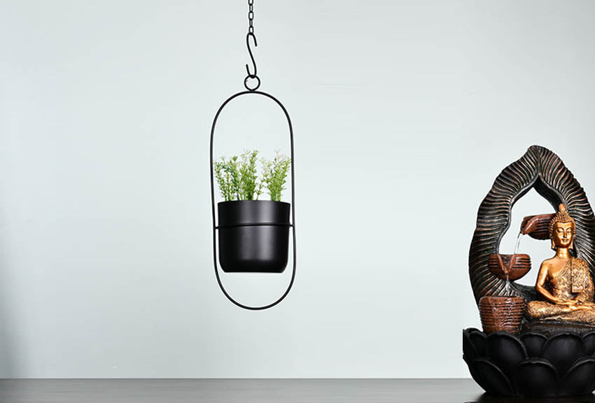 Hanging Pot Plants- The natural and effective decor solution