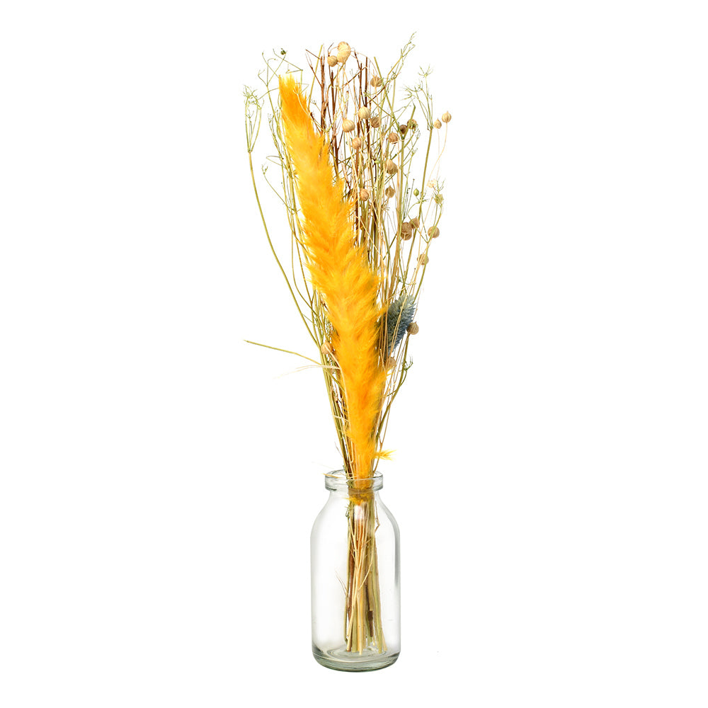 Arias Decorative Glass Vase with Dry Flowers (Transparent & Yellow)