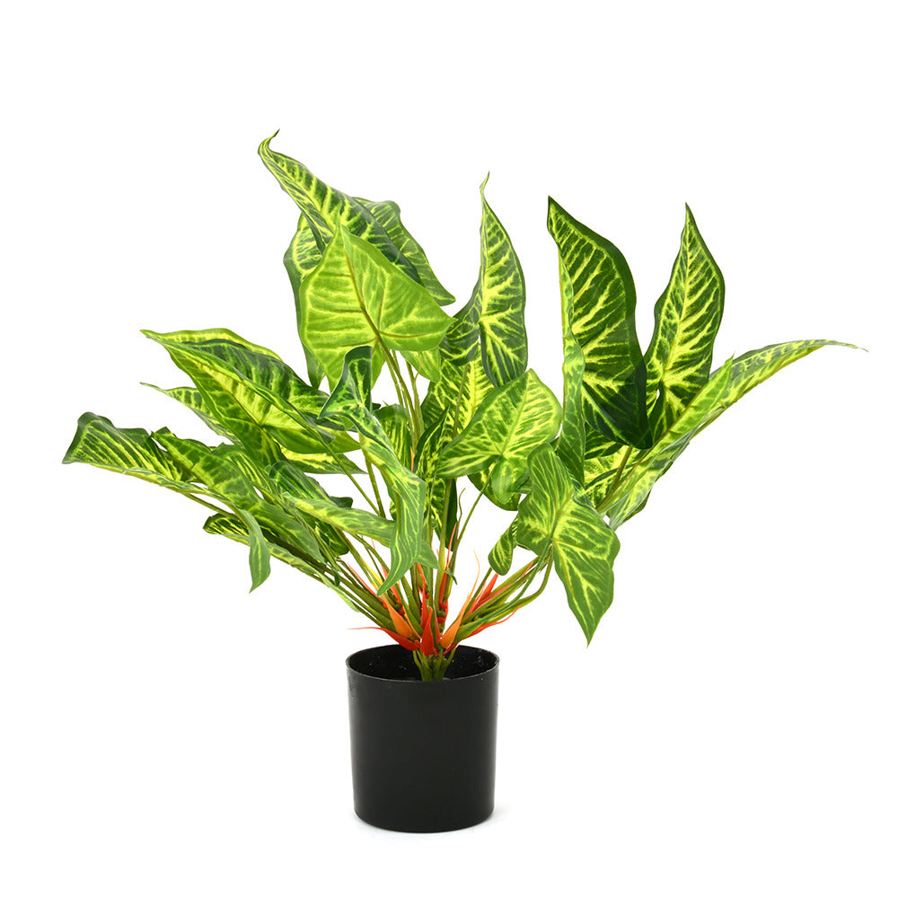 Tropicana Caladium Artificial Potted Plant (Green)