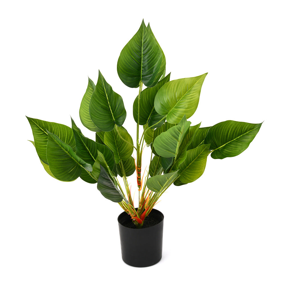 Tropicana Burflower Artificial Potted Plant (Green)