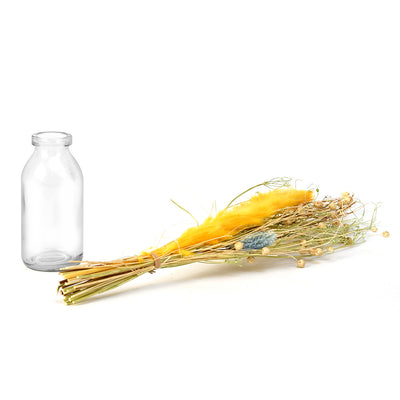 Arias Decorative Glass Vase with Dry Flowers (Transparent & Yellow)