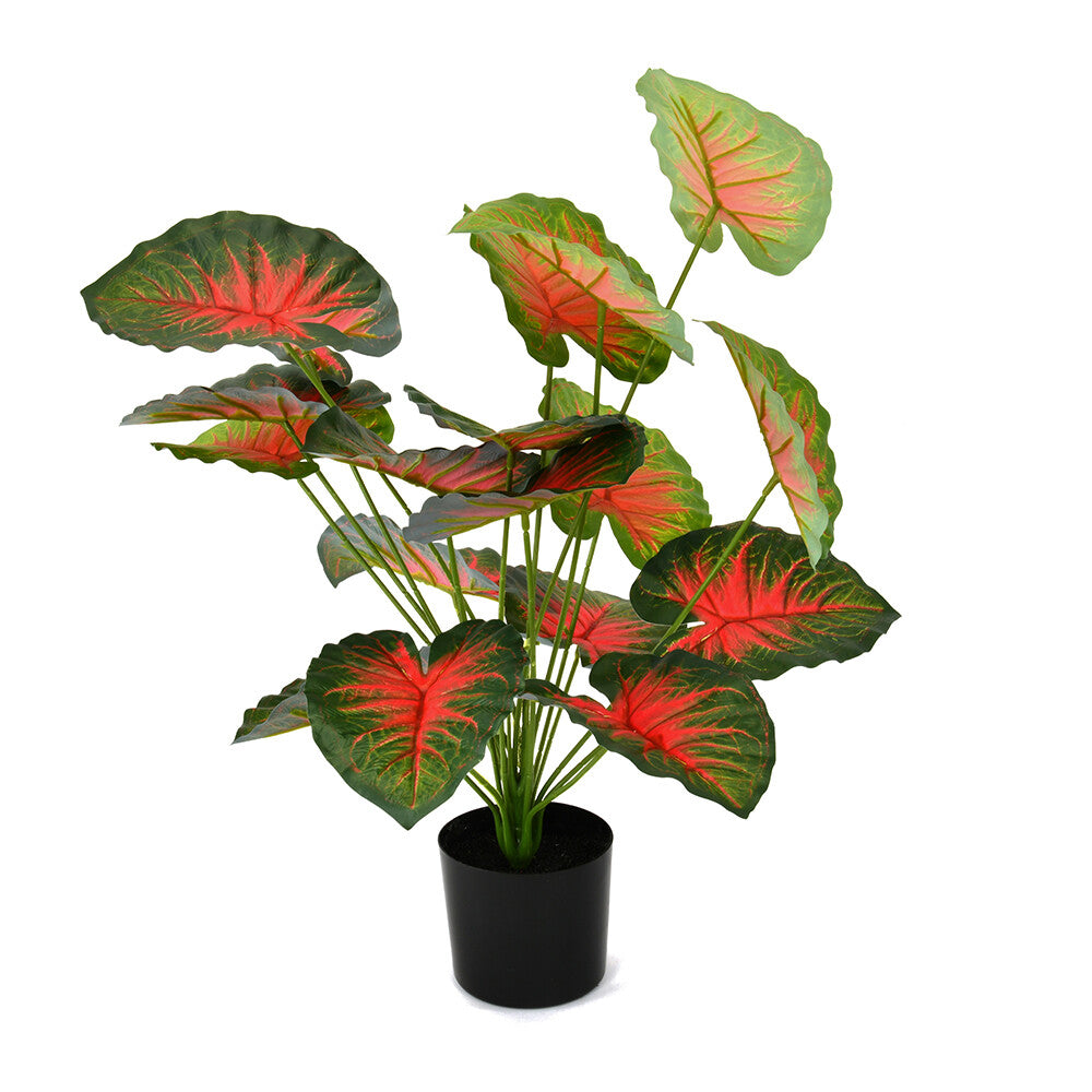 Tropicana Fairy Taro Artificial Potted Plant (Green & Red)