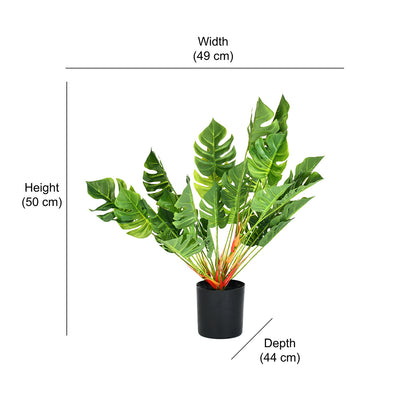 Tropicana Turtle Leaf Artificial Potted Plant 50 cm (Green)