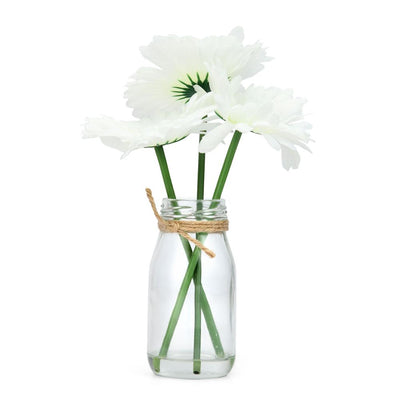 Glass Bottle Gerbera Potted Plant (White)