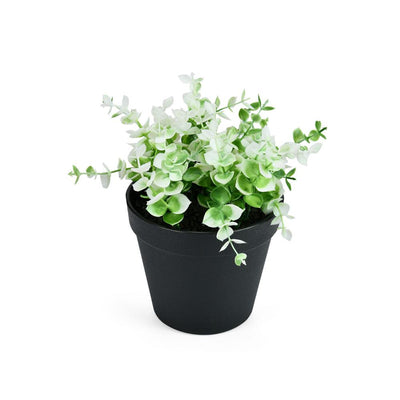 Flora Potted Plant (White & Green)