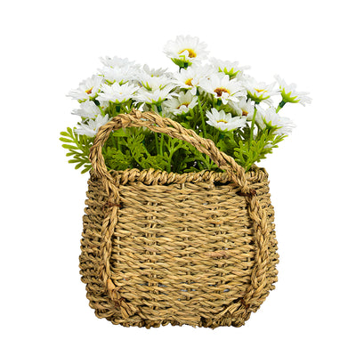 Daisy Basket 23 cm Potted Plant (White)