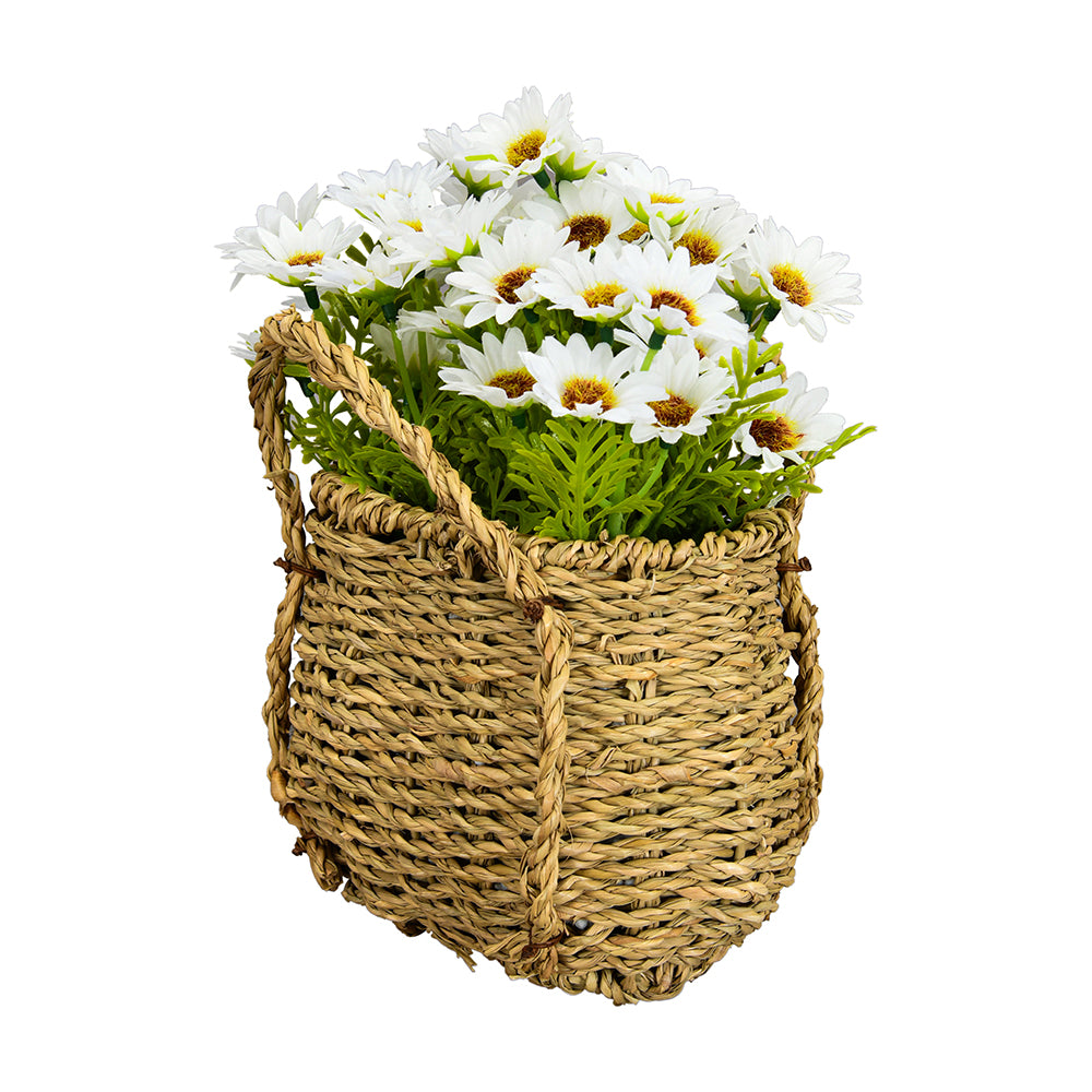 Daisy Basket 23 cm Potted Plant (White)