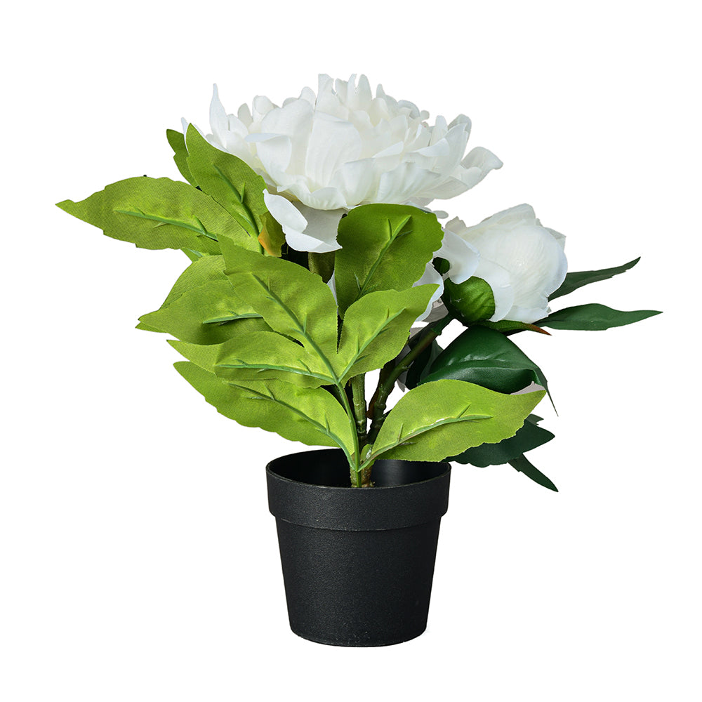 Peony Artificial Potted Plant (White)