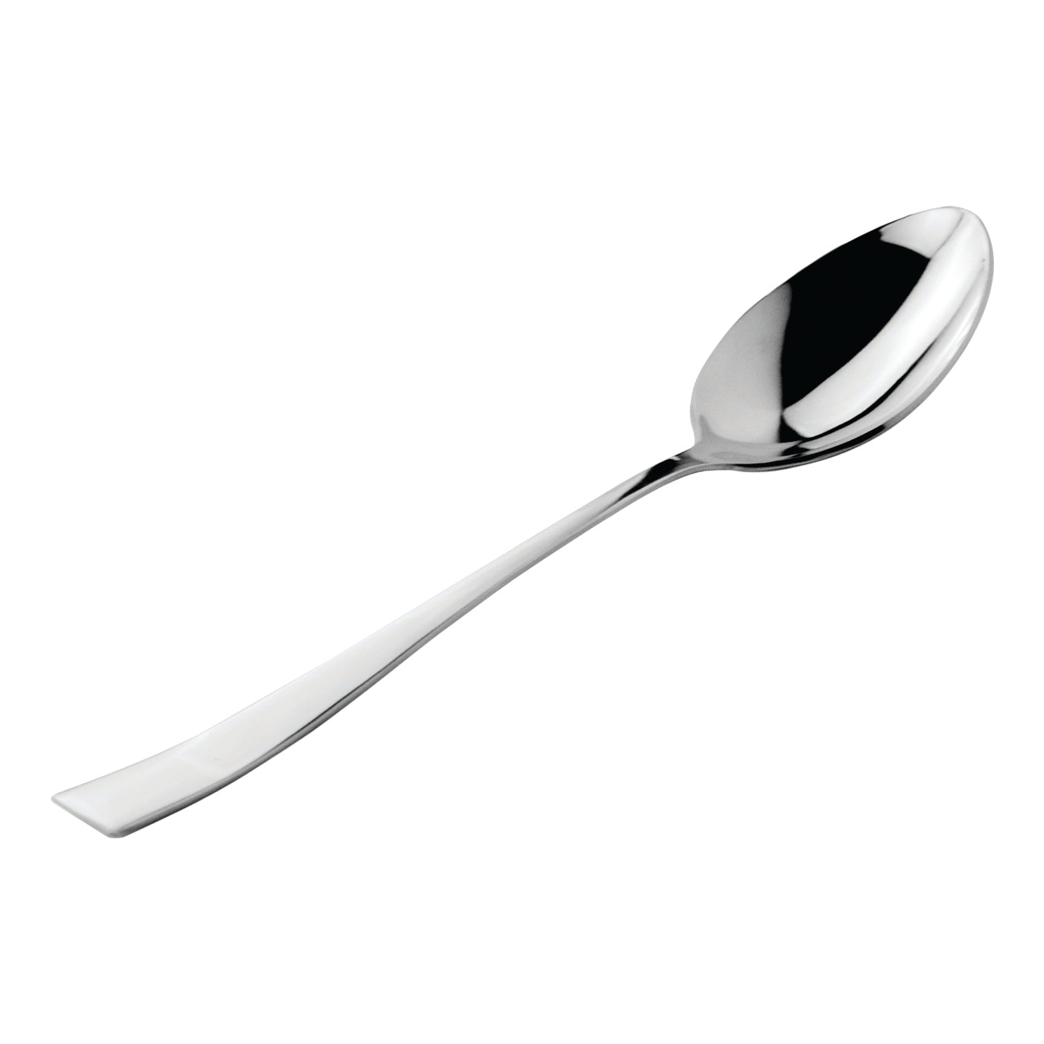 FNS Slimline Serving Spoon Large