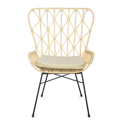 Ariel Occasional Chair (Brown)