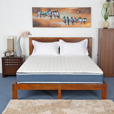 Flora Double Pillow Top 6 inch Queen Bed Spring Mattress (Blue)