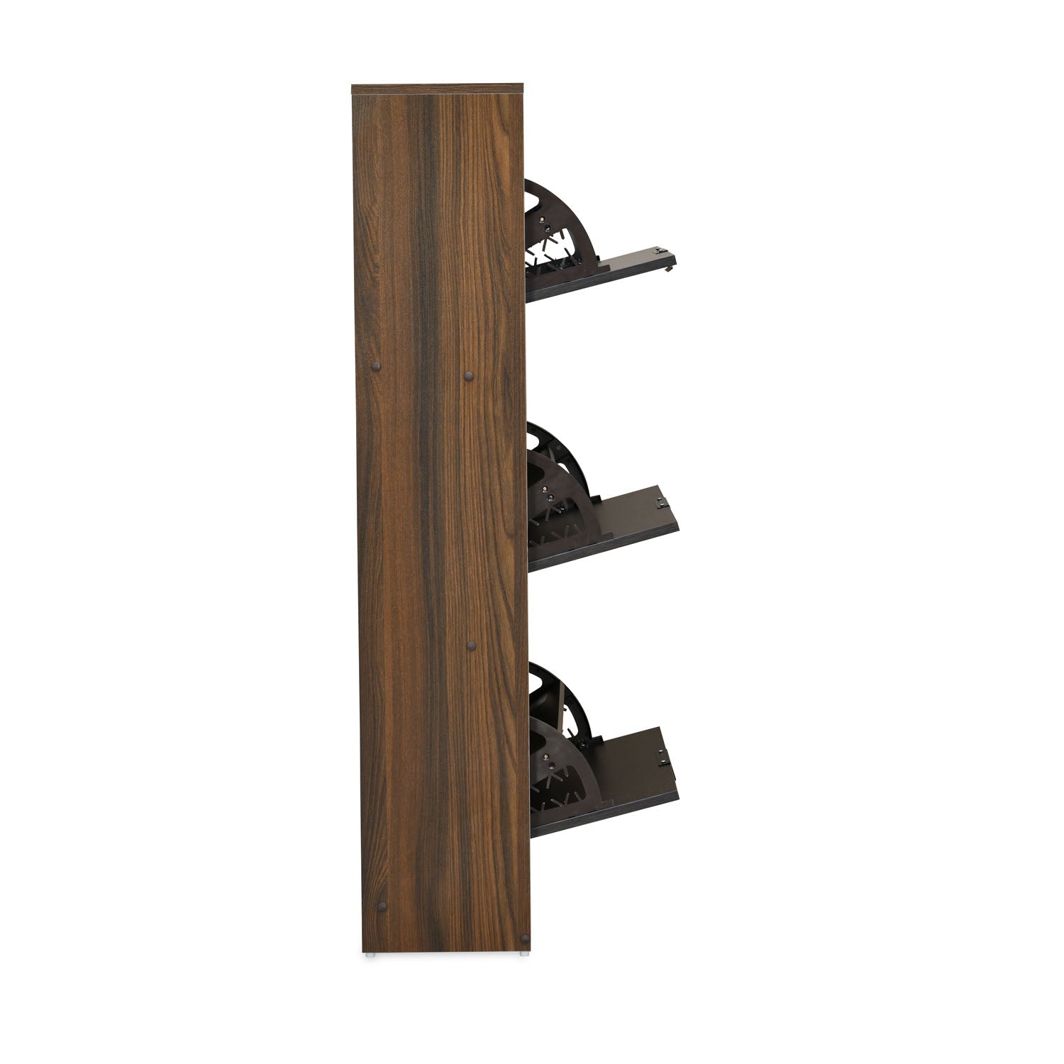 Florine 3 Tier Engineered Wood Shoe Cabinet (Walnut & Wenge)