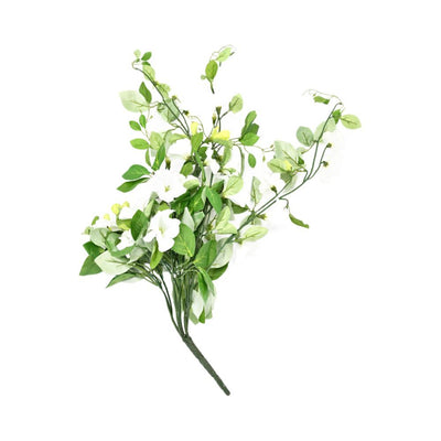 Floral Creeper (White)