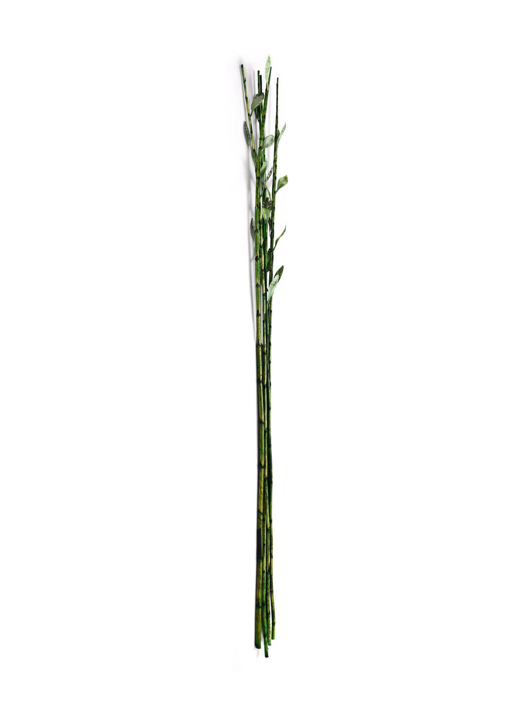 Bamboo Wicker Stick With Leaf (Emerald)