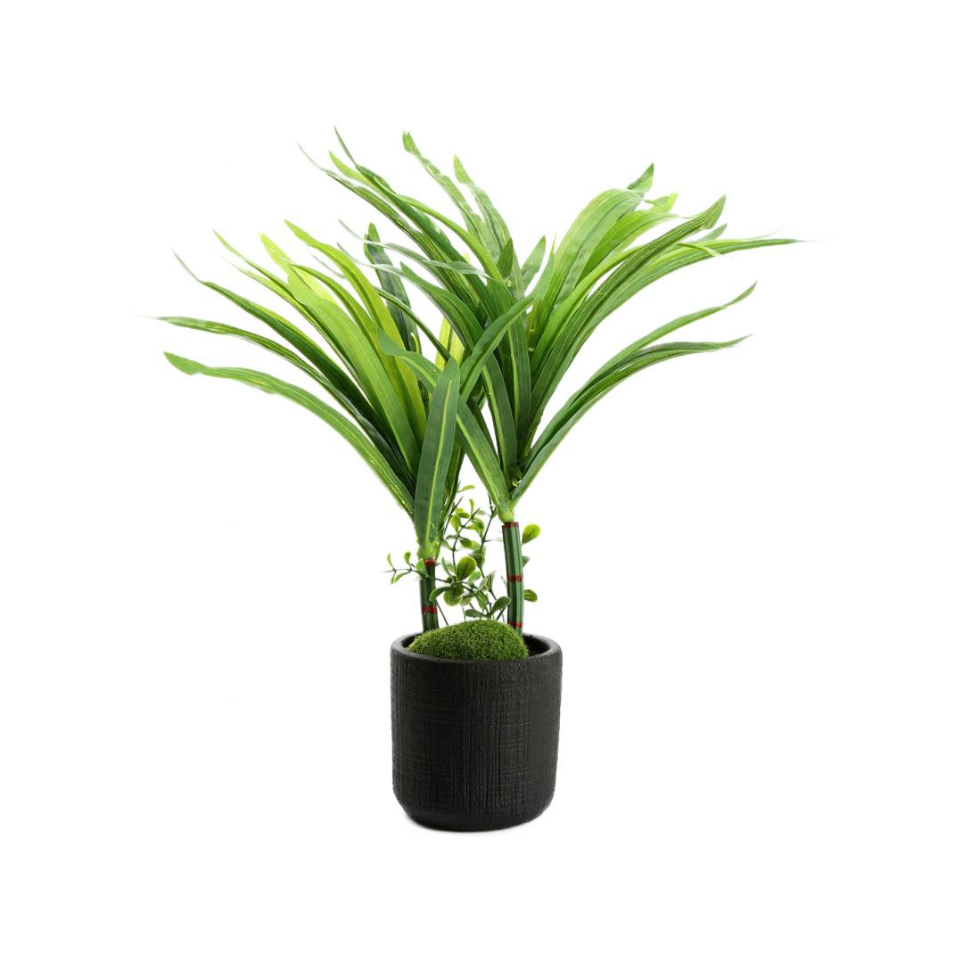 Tumbler Potted Plant (Green)
