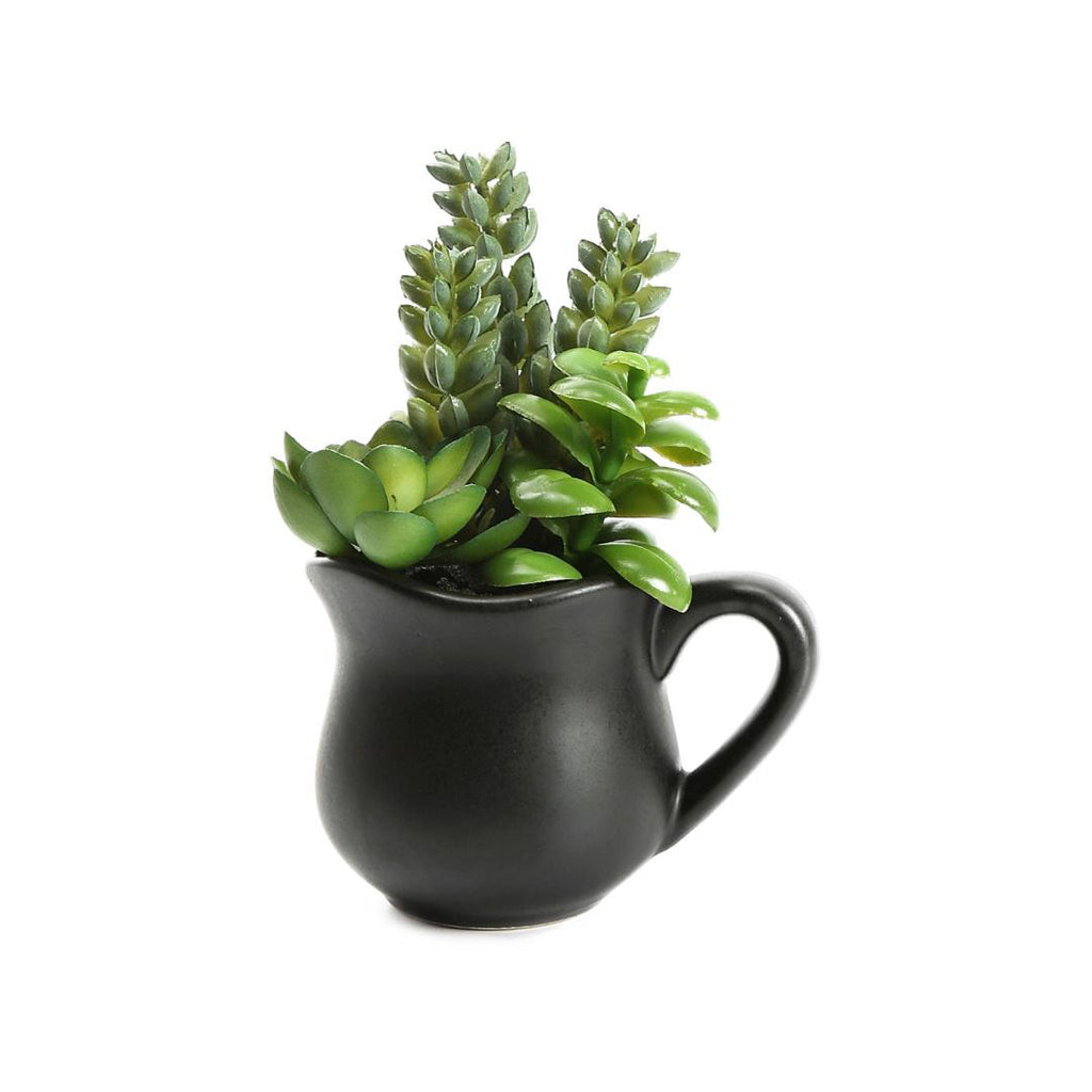 Jug Potted Plant (Green)