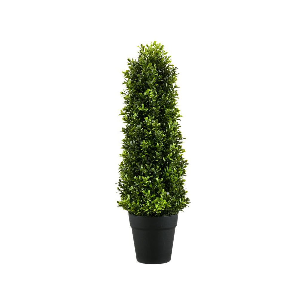 Boxwood Hilly Potted Plant (Green)