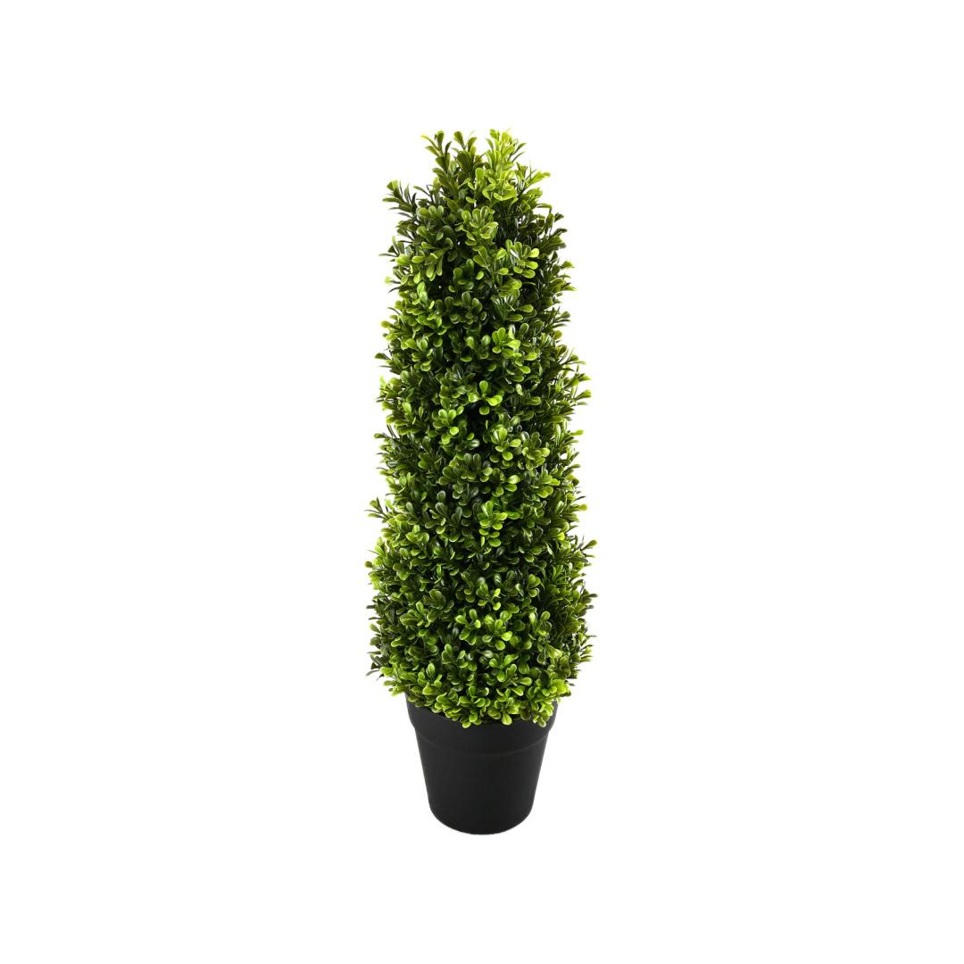 Boxwood Hilly Potted Plant (Green)