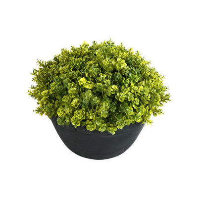 Boxwood Round Potted Plant (Green)