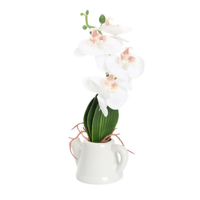 Orchid Teapot Potted Plant (White)