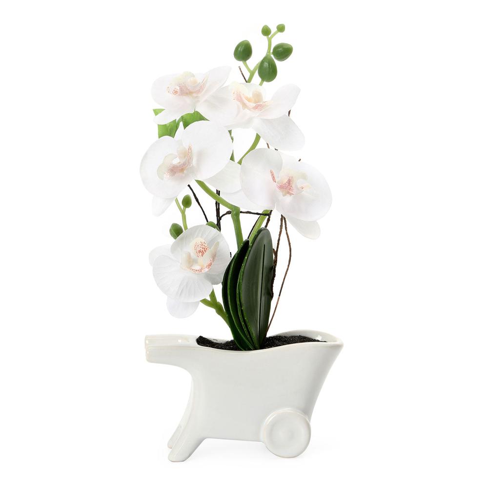 Orchid Cart Potted Plant (White)