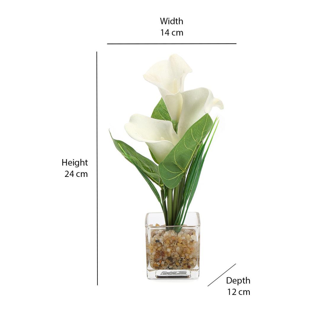 Lilly Glass Potted Plant (White)