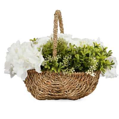Hydrangea Basket Potted Plant (White)