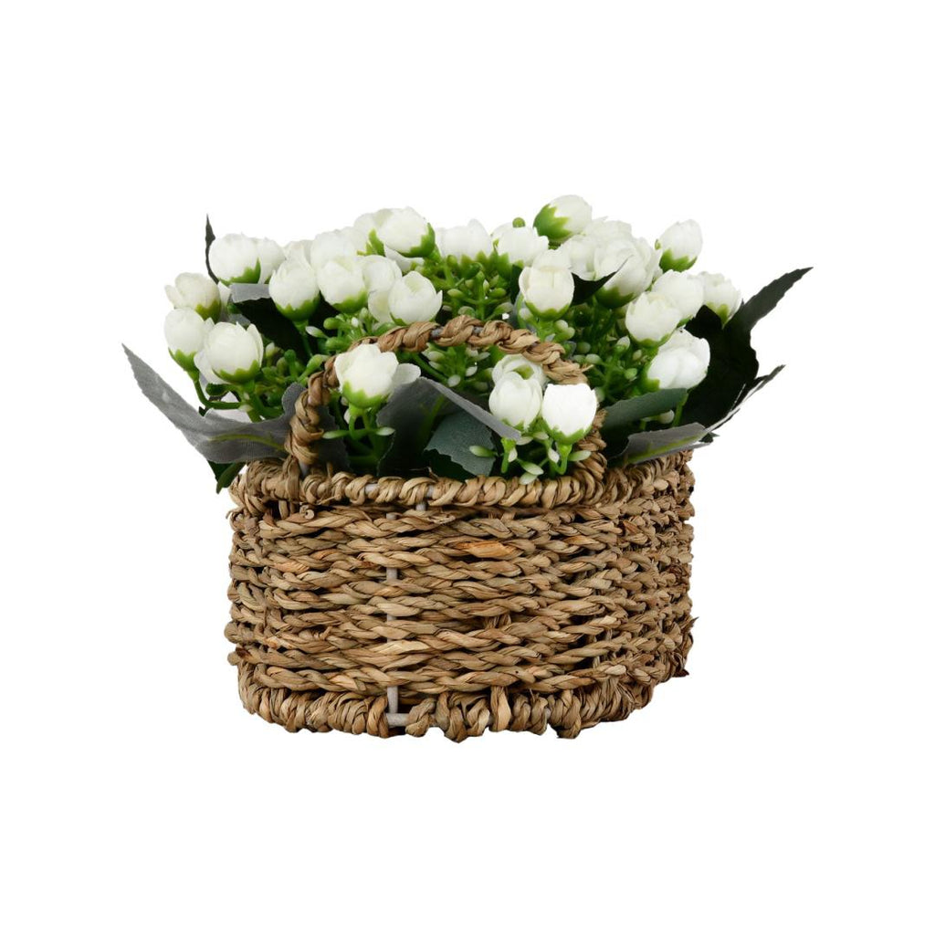 Rose Buds Basket Potted Plant (White)
