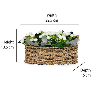 Rose Buds Basket Potted Plant (White)