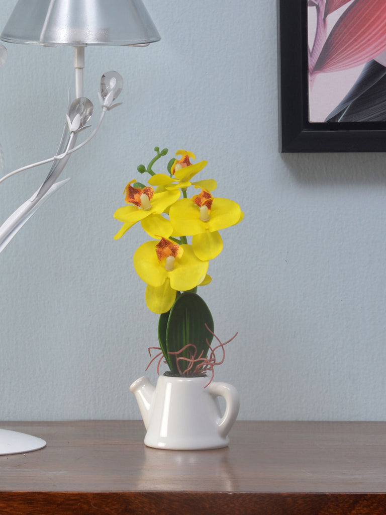Orchid Teapot Potted Plant (Yellow)