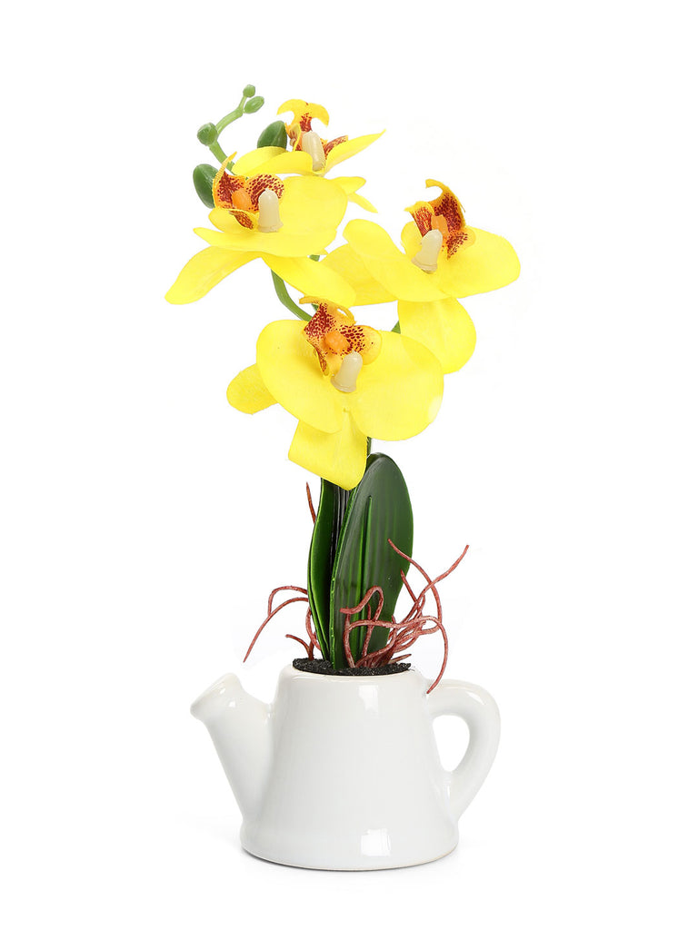 Orchid Teapot Potted Plant (Yellow)