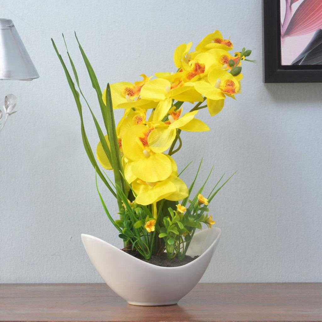 Orchid Bowl Potted Plant (Yellow)