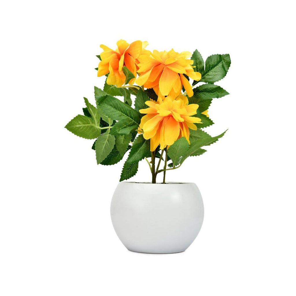 Peony Potted Plant (Yellow)
