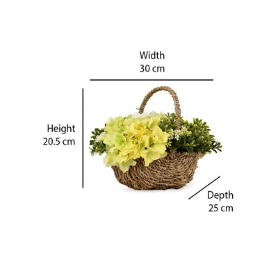 Hydrangea Basket Potted Plant (Yellow)