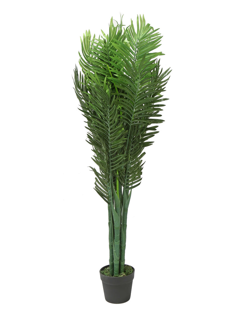 Palm Tree (Green)