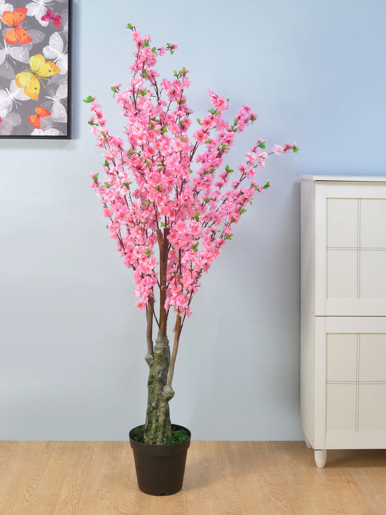 Blossom Peach Tree (Pink)