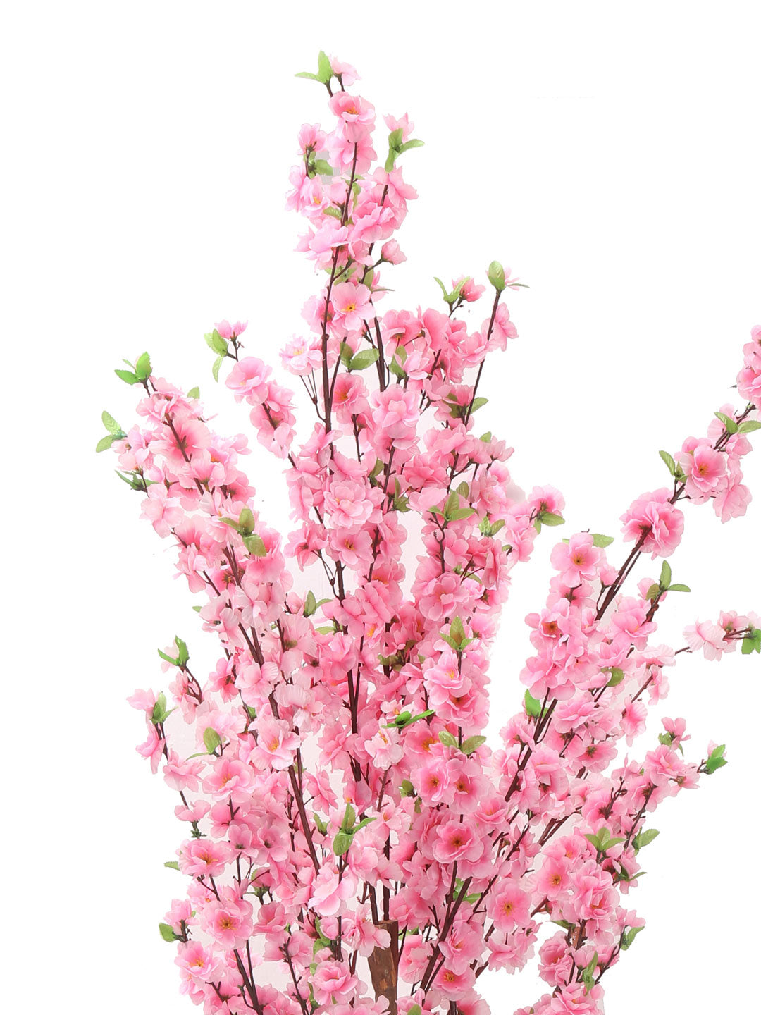 Blossom Peach Tree (Pink)