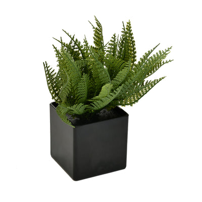 Succulent Artificial Potted Plant (Green)