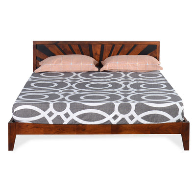 Upminister Queen Bed without Storage (Brown)