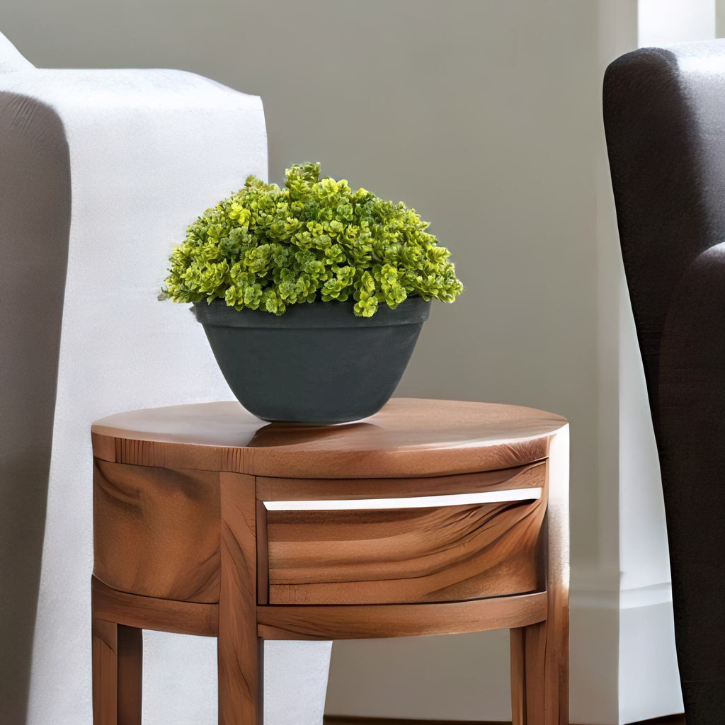 Boxwood Round Potted Plant (Green)